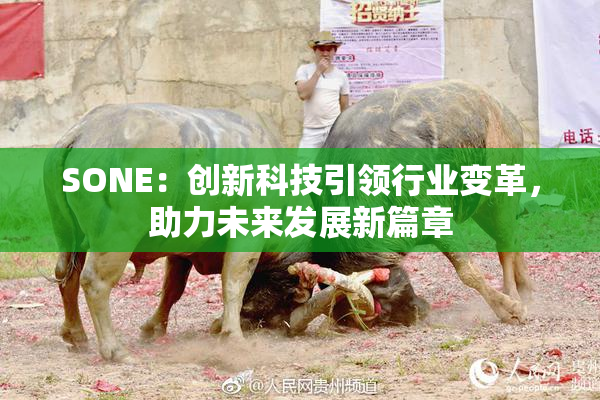 SONE：创新科技引领行业变革，助力未来发展新篇章