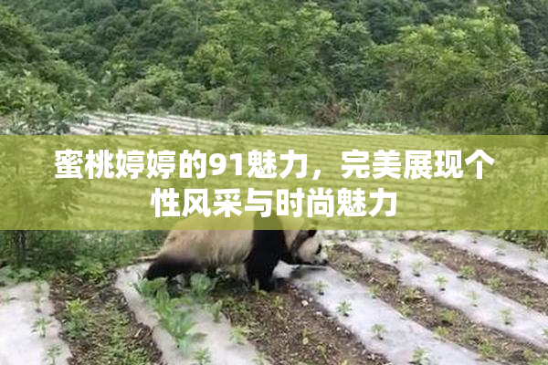 蜜桃婷婷的91魅力，完美展现个性风采与时尚魅力