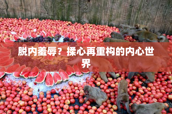 脱内羞辱？揉心再重构的内心世界