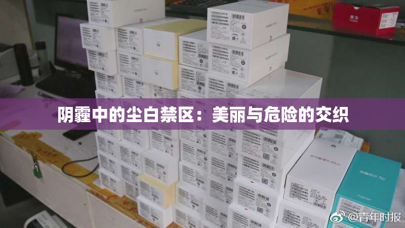 阴霾中的尘白禁区：美丽与危险的交织