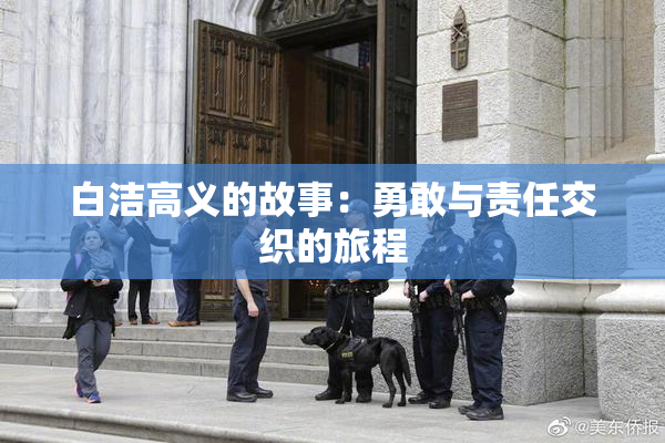 白洁高义的故事：勇敢与责任交织的旅程