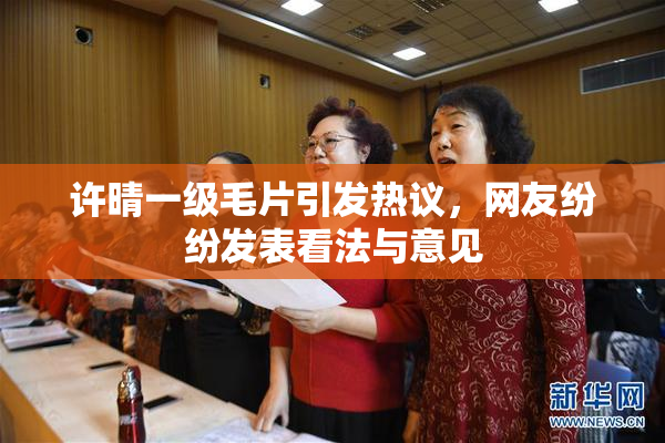 许晴一级毛片引发热议，网友纷纷发表看法与意见