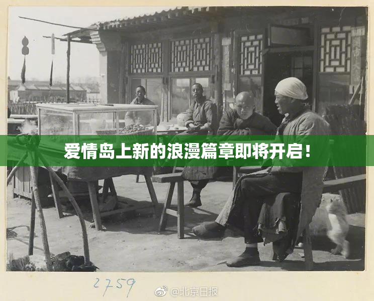 爱情岛上新的浪漫篇章即将开启！