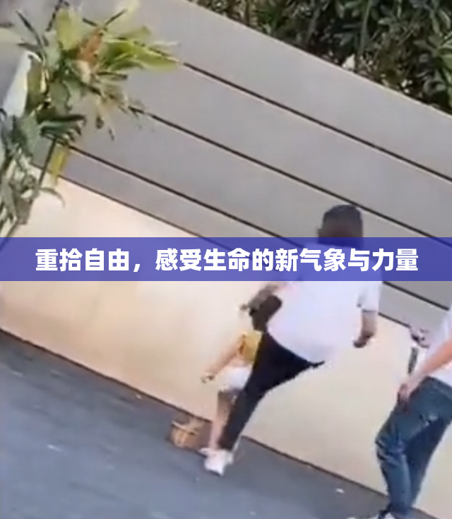 重拾自由，感受生命的新气象与力量
