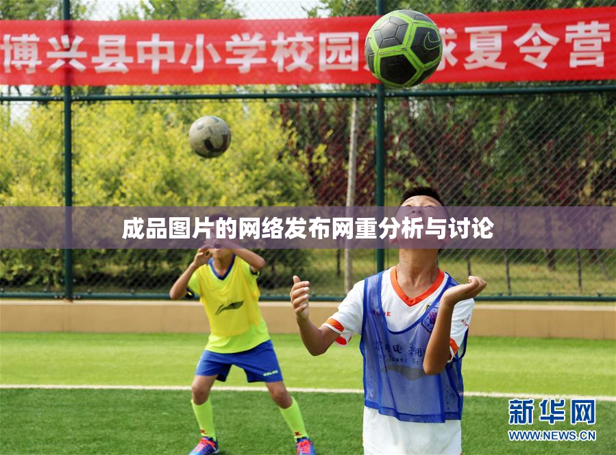 成品图片的网络发布网重分析与讨论