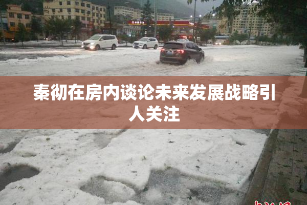 秦彻在房内谈论未来发展战略引人关注