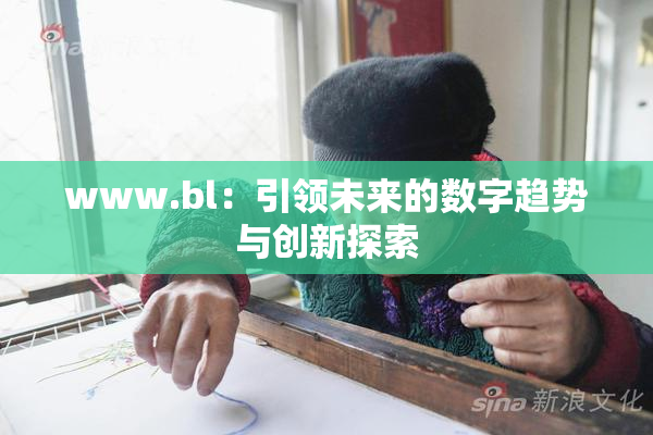 www.bl：引领未来的数字趋势与创新探索