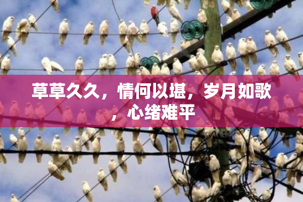 草草久久，情何以堪，岁月如歌，心绪难平