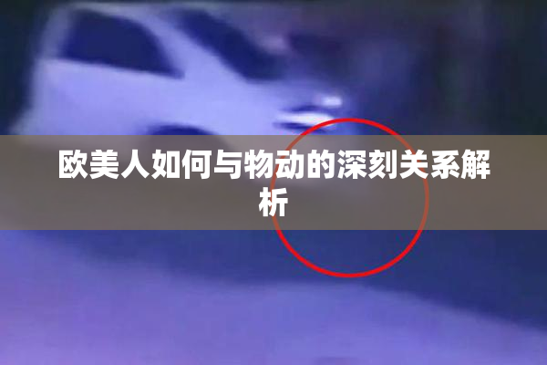 欧美人如何与物动的深刻关系解析