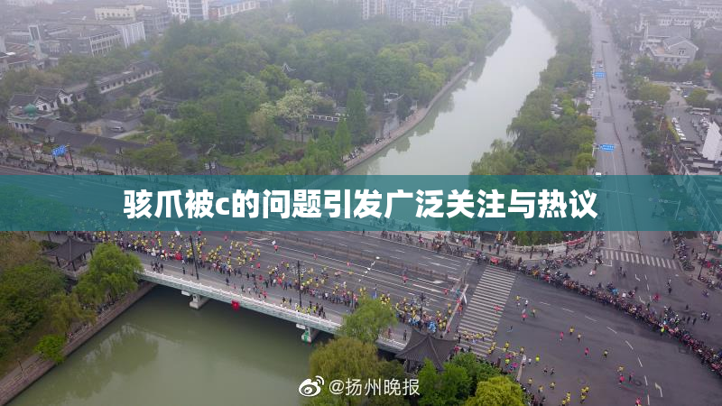 骇爪被c的问题引发广泛关注与热议