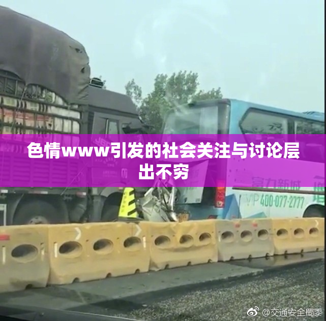 色情www引发的社会关注与讨论层出不穷