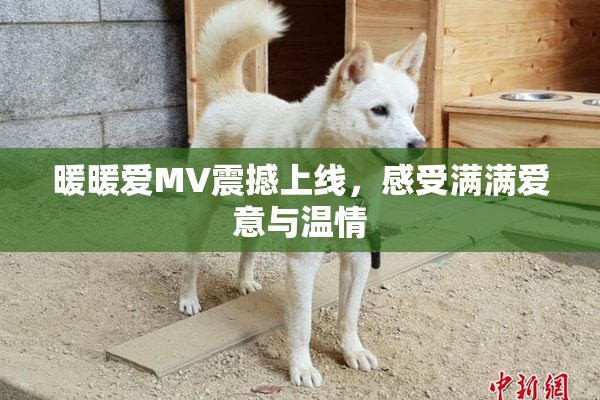 暖暖爱MV震撼上线，感受满满爱意与温情
