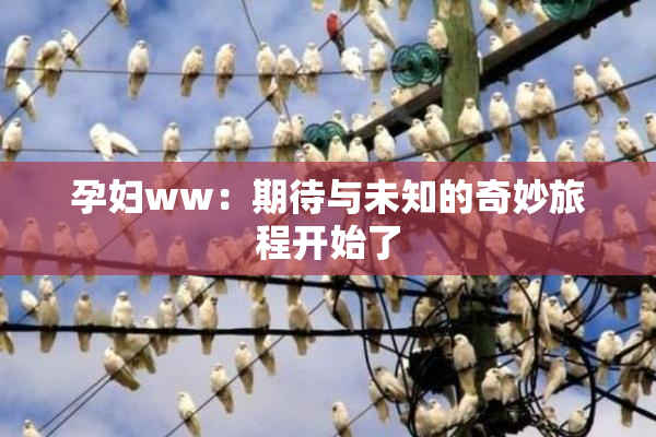 孕妇ww：期待与未知的奇妙旅程开始了