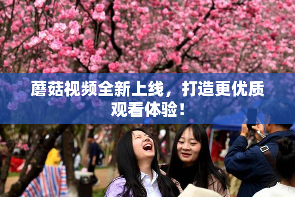 蘑菇视频全新上线，打造更优质观看体验！