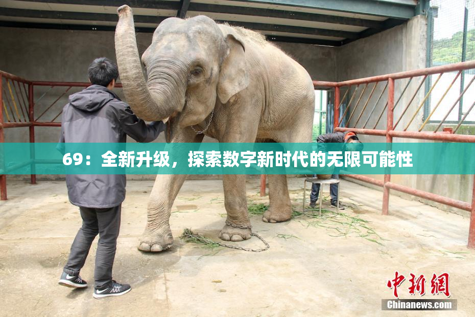 69：全新升级，探索数字新时代的无限可能性