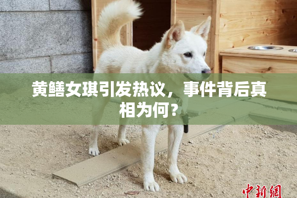 黄鳝女琪引发热议，事件背后真相为何？
