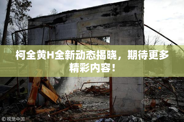 柯全黄H全新动态揭晓，期待更多精彩内容！