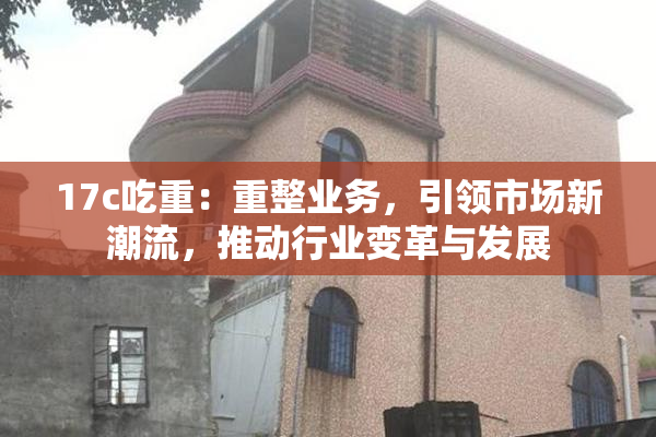 17c吃重：重整业务，引领市场新潮流，推动行业变革与发展