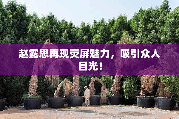 赵露思再现荧屏魅力，吸引众人目光！