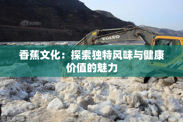 香蕉文化：探索独特风味与健康价值的魅力
