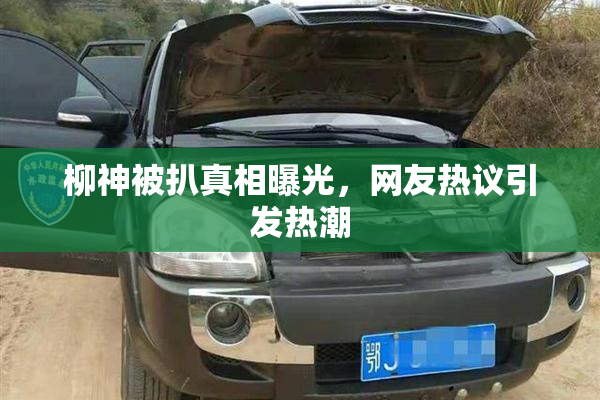 柳神被扒真相曝光，网友热议引发热潮