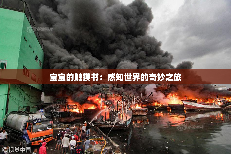 宝宝的触摸书：感知世界的奇妙之旅