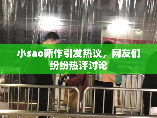 小sao新作引发热议，网友们纷纷热评讨论