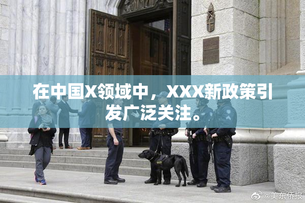 在中国X领域中，XXX新政策引发广泛关注。