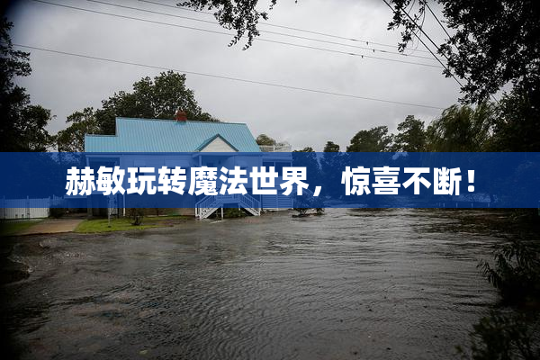 赫敏玩转魔法世界，惊喜不断！