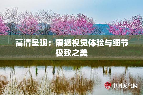 高清呈现：震撼视觉体验与细节极致之美