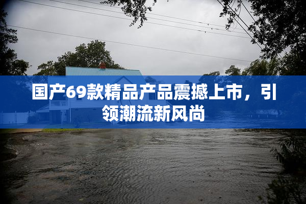 国产69款精品产品震撼上市，引领潮流新风尚
