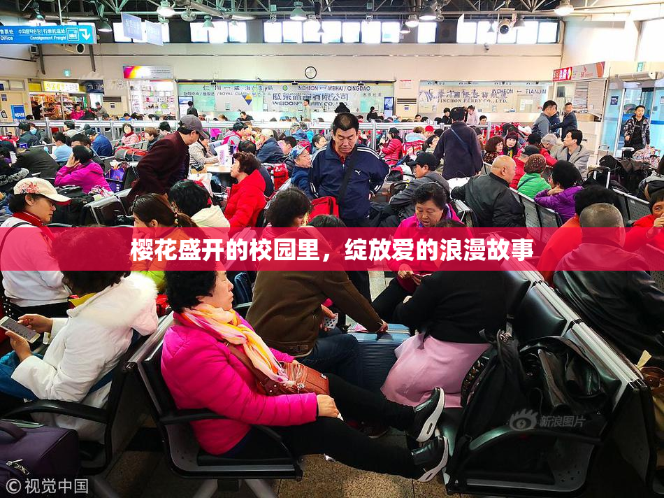 樱花盛开的校园里，绽放爱的浪漫故事