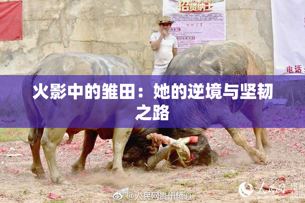 火影中的雏田：她的逆境与坚韧之路
