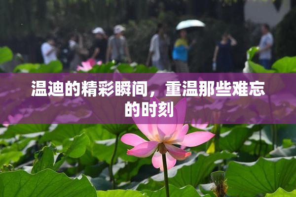 温迪的精彩瞬间，重温那些难忘的时刻