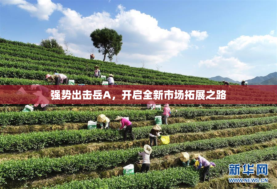 强势出击岳A，开启全新市场拓展之路