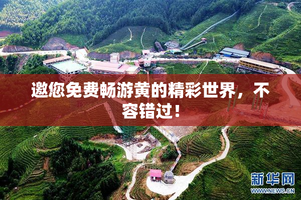 邀您免费畅游黄的精彩世界，不容错过！