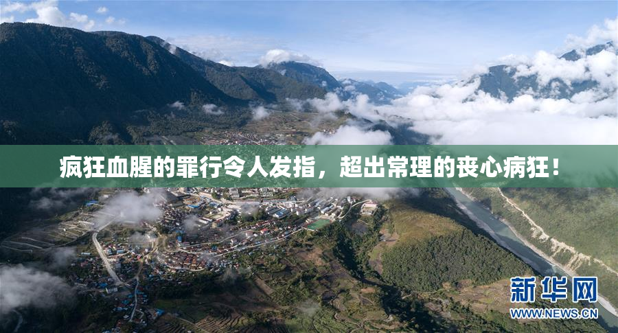 疯狂血腥的罪行令人发指，超出常理的丧心病狂！