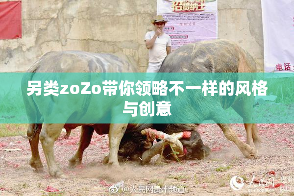 另类zoZo带你领略不一样的风格与创意