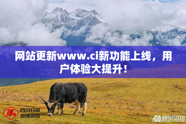 网站更新www.ci新功能上线，用户体验大提升！