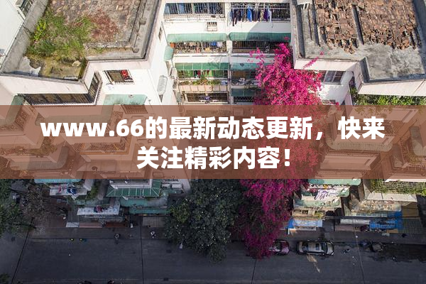 www.66的最新动态更新，快来关注精彩内容！