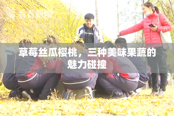 草莓丝瓜樱桃，三种美味果蔬的魅力碰撞