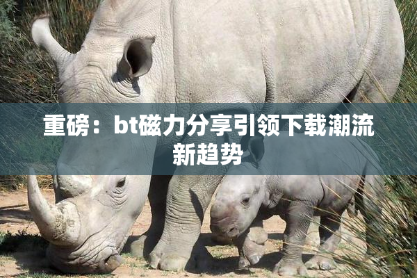 重磅：bt磁力分享引领下载潮流新趋势