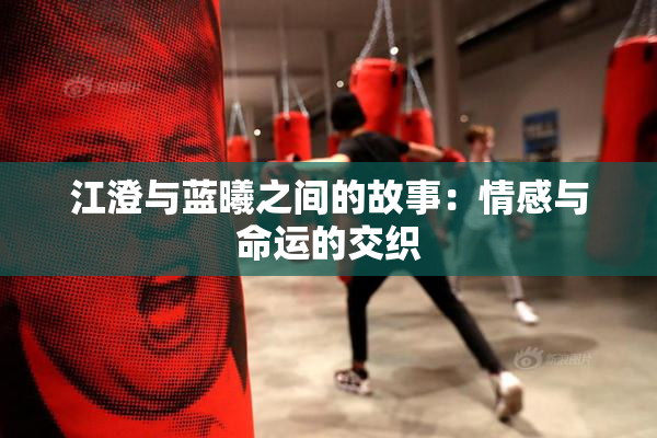 江澄与蓝曦之间的故事：情感与命运的交织