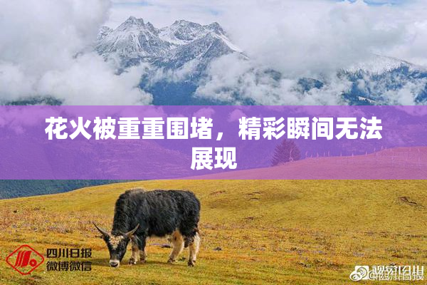 花火被重重围堵，精彩瞬间无法展现