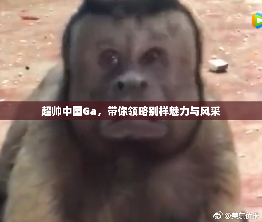 超帅中国Ga，带你领略别样魅力与风采
