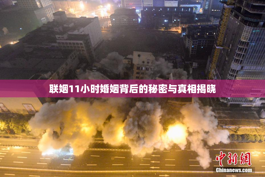 联姻11小时婚姻背后的秘密与真相揭晓