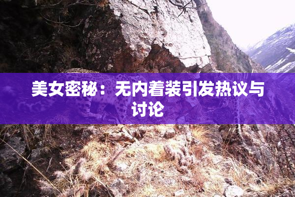 美女密秘：无内着装引发热议与讨论
