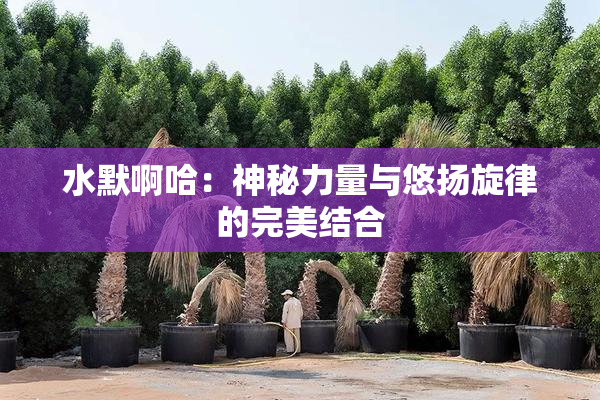 水默啊哈：神秘力量与悠扬旋律的完美结合