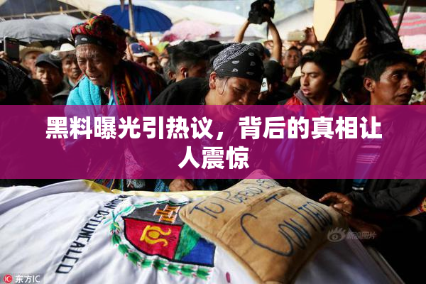 黑料曝光引热议，背后的真相让人震惊