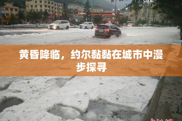 黄昏降临，约尔黏黏在城市中漫步探寻